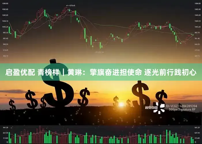 启盈优配 青榜样｜黄琳：擎旗奋进担使命 逐光前行践初心