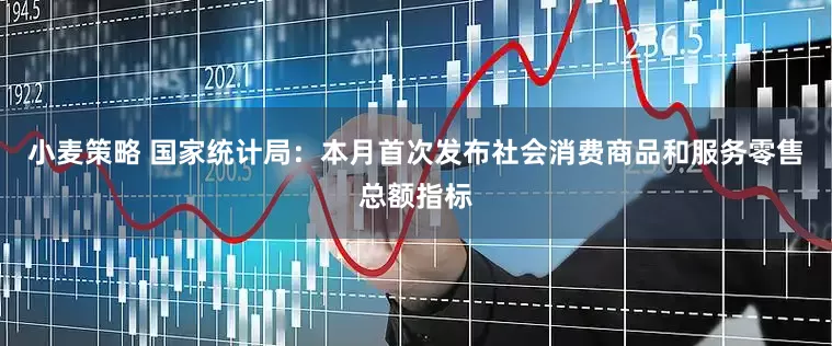 小麦策略 国家统计局：本月首次发布社会消费商品和服务零售总额指标